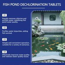 鱼缸除氯片，清洁污垢，净化水质，鱼缸除氯和水质维护清洁片