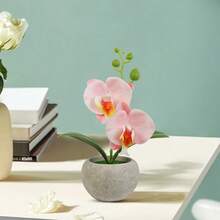 1 件人造蝴蝶兰盆栽，情人节、生日毕业礼物 - 白色 - 查看 7