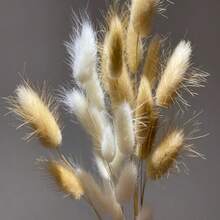 30/59/80/119 件天然干兔尾草花，适用于波西米亚风装饰、家居、婚礼 DIY 工艺品 - 白色+棕色 - 查看 3