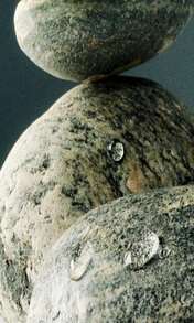 NEST New York Scented Votive Candle, Bamboo - 2 Oz - Up To 28-Hour Burn Time - Reusable Glass Vessel - MàuD - Xem 5