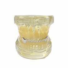 Grills For Your Teeth Gold Grills For Teeth Hip-Hop Higer Tooth With Zirconia Decoration Hip-Hop Jewelry Gift - Bạc - Xem 4