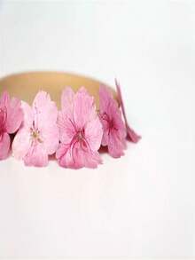 12pcs Dried Sakura Flowers Pressed Flower Specimens For Resin Crafts, Photo Frames, Bookmarks, Candles, DIY Handmade Lamp, Fan, Home Decor, Gift For Friends