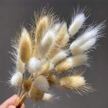 30/59/80/119 件天然干兔尾草花，适用于波西米亚风装饰、家居、婚礼 DIY 工艺品 - 白色+棕色 - 查看 4