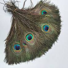 High Quality Natural Peacock Feathers 25-30cm Home Decoration Long Feather Vase Flower Arrangement Decoration Peacock Feathers - Green - View 12