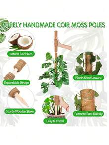 1pc Garden Plant Support Pole, Free-Form Plant Trellis - Brown - View 5