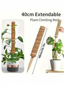 1pc Garden Plant Support Pole, Free-Form Plant Trellis - Brown - View 9