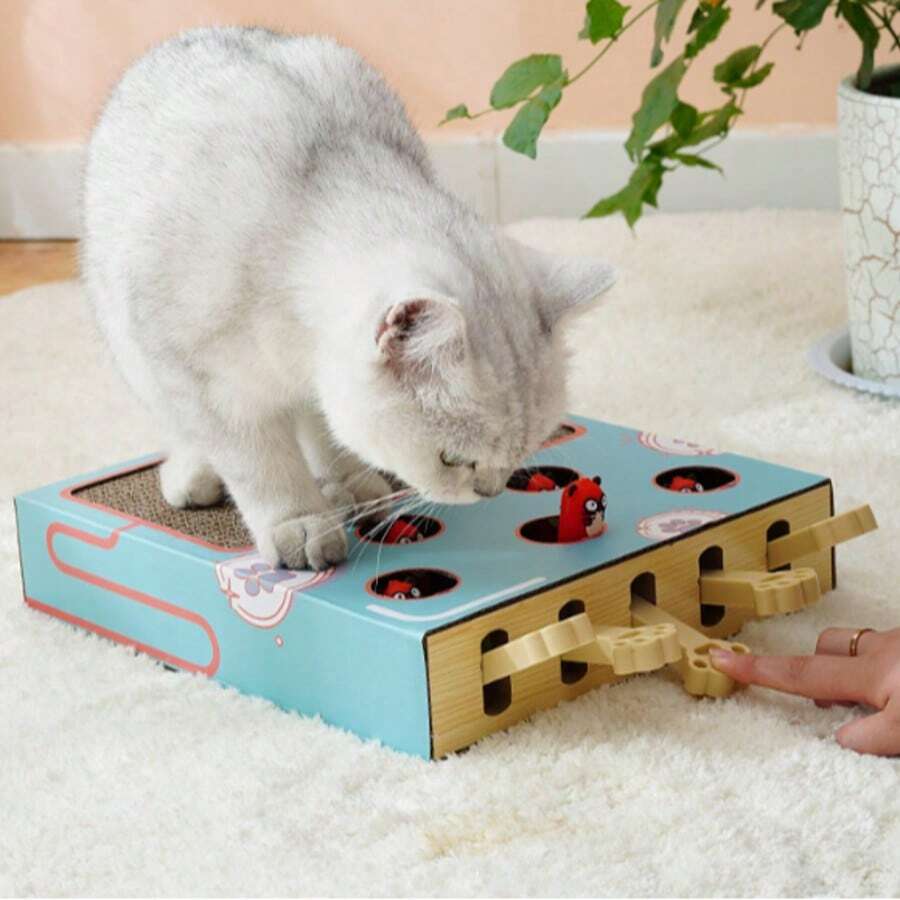 Interaktywne zabawki dla kotów z drapakiem, drapak dla kotów z gniazdem, zabawki dla zwierząt do ostrzenia pazurów, zabawki dla kotów, drapak dla kotów z tektury falistej, akcesoria dla kotów, zabawki dla kotów