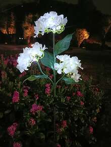 4/2/1pcs Solar Hydrangea Flower Light With 3-Head, Outdoor Courtyard Decoration, LED Simulation Flower Light, For Outdoor Yard Garden Lawn Patio Courtyard Fences Driveway Pathway Decoration, Valentine's Day Gift, Gifts For Mother Or Lovers(Pink, White, Blue, Purple) - 3頭繡球花 - 查看 12