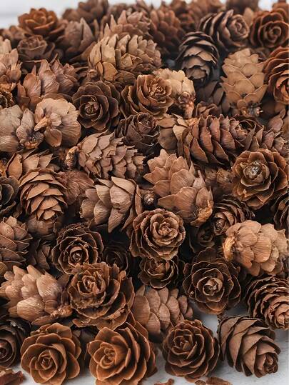 48 件散装天然松果，松果装饰，松果饰品，迷你松果，适用于家庭婚礼装饰、秋季、DIY、圣诞节工艺品、礼品、家庭派对装饰、DIY 工艺品和圣诞节感恩节秋季派对工艺装饰