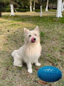 1 peça/3 peças novo brinquedo para cachorro, brinquedo de borracha à prova de mastigação e que faz barulho para pelúcia, corgi, cães grandes e pequenos