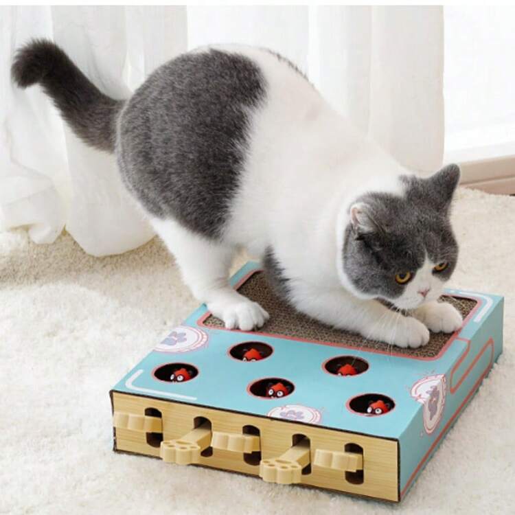 帶貓抓板的互動貓玩具貓抓板窩磨爪神器寵物玩具貓咪玩具瓦楞紙貓抓板貓咪用品逗貓玩具 - 藍色 - 查看 4