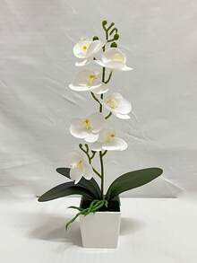 4pcs/1PC Simulation Plant Flowers Fake Hua Hudie Orchid Potted Bonsai, Wedding Shooting Green Props Living Room Decoration Plastic Flower Potted Ornaments, Holiday Decorations, Christmas Decorations.