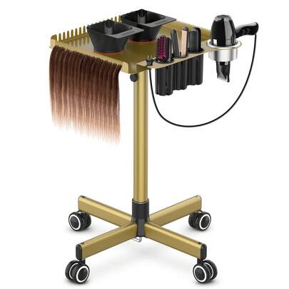 Rolling Salon Tray On Wheels, Metal Hairstylist Tray Rolling Cart For Hair Salon Station With 2 Magnetic Hair Color Bowls, Trolley Cart With Holder And Separator Stand-Gold