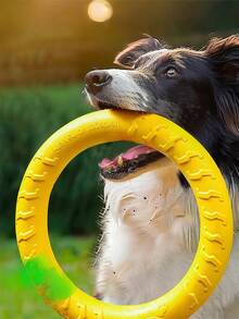 Disco volador con aro grande para mascotas - Juguete interactivo de disco volador para perros que combate el aburrimiento - Juguete masticable duradero con rebote y juguete de tiro para perros pequeños y medianos como Golden Retriever y Border Collie