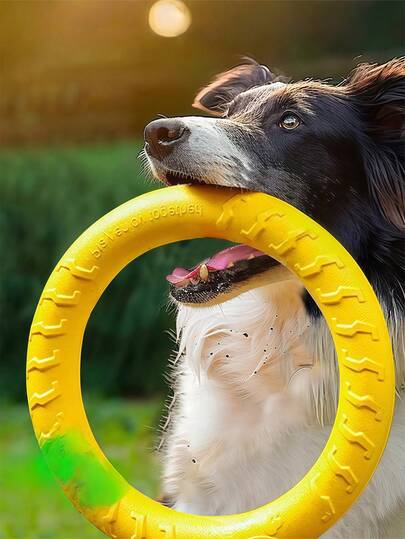 Brinquedo para cães de estimação Disco voador com anel grande - Brinquedo para animais de estimação Boredom Buster Disco voador com anel - Brinquedo de mastigar durável com pulo Brinquedo interativo para cães de pequeno a médio porte Brinquedo de treinamento interativo Golden Retriever e Border Collie