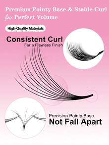 Waloshow 680 件 Promade 散装扇形睫毛 5D 6D 10D 20D 0.05 0.07 C 卷曲 D 卷曲 8-15 毫米预制扇形长度 0.05 厚度 C 卷曲睫毛延长手工散装睫毛沙龙用多种选择 - C - 查看 7