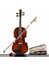 Stringed Musical Instruments