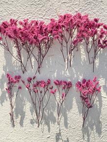 1/6 Box Mini Dried Baby's Breath Flowers, Bulk Bouquet Natural Gypsum Flowers For Wedding Wreath, Bridal Shower, Home Vase Decor, Card Making DIY - Pink Crystal Grass - View 7