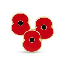 Lest We Forget 2025 Poppy Lapel Pin Brooch UK Remembrace Day Badge Jewelry Costume Accessories Bag Charms Office Accessories