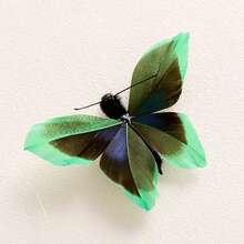 Interactive Cat Toy, Realistic Butterfly Cat Toys With A Long Rope, Cat Wand Replacements, Interactive Cat Wand Toys, Cat Teaser Attachments- Perfect Holiday & Birthday Gift For Cats