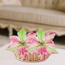 Christmas Poinsettia Flowers Rustic Poinsettias Decorative Artificial Flowers For Home Decorations - 粉色 - 查看 4