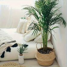 Weiße dekorative Steine, matte Kiesel, Felsen für Pflanzen im Innenbereich, natürliche weiße Flusssteine, Vasen-Füllsteine, Kies, kleine Felsen, Aquarium-Kies, Sukkulenten-Felsen (0,5-0,9 cm). Die Steine haben eine asymmetrische Form.