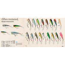 Rebel P60 Currican Pop-R - Hueso - Ver 8