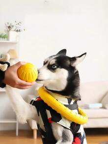 Disco volador con aro grande para mascotas - Juguete interactivo de disco volador para perros que combate el aburrimiento - Juguete masticable duradero con rebote y juguete de tiro para perros pequeños y medianos como Golden Retriever y Border Collie