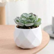 1pc Artificial Plush Succulent Plant Rhombus Pattern Small White Potted Plant, Desktop Decor, Fake Flower Miniature Potted Plant, Home Decor, Party Decoration