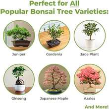 Bonsai Soil By Perfect Plants - 2qts. | Premium All-Purpose Mix Bonsai Tree Varieties - As Pic - View 3
