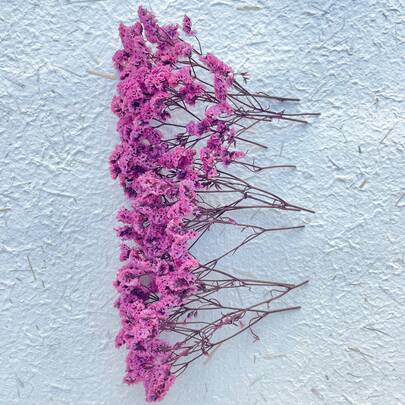 25/50/100/300pcs Artificial White Mini Dried Baby's Breath Flowers, Ivory Flower Vase Filler For Wedding, Home, Office, Party, Garden, Card Making, DIY Decor