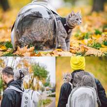 Cat Backpack, Pet Bubble Backpack, Pet Capsule Backpack, Small Space Pet Travel Bag, Waterproof And Breathable Pet Harness Approved By The Airline, Suitable For Travel, Hiking, Walking And Outdoor Use - 灰色 - 查看 4