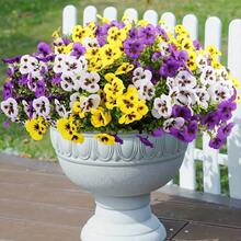 12 Stücke künstliche Blumen, geeignet für Außen-/Innenbereich Dekoration, realistische Simulationsblumen mit UV-Beständigkeit, geeignet für Außengarten, Haustür, Veranda, Balkon, Fenster Heimdekoration (gemischte Farben)