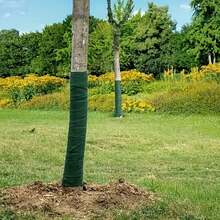 1pc (60ft) Tree Wrap Tape, Winter Tree Trunk Protection Wrap With Fruit Tree Insulation, Moisture Proof And Anti-Pest Function, Shrub Gardening Protective Wrap, Anti-Frost Bandage, Household And Commercial Landscape Wind Resistant Accessory, Thick Absorbent Material Protective Sleeve