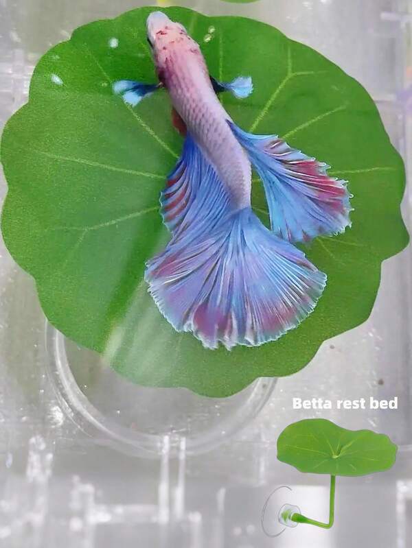 2pcs Betta Fish Leaf Hammock, Simulated Natural Habitat, Betta Fish Bed, Aquarium Decor Fake Leaves, Improve Betta Health - Natural, Organic, Comfortable Fish Tank Resting Area