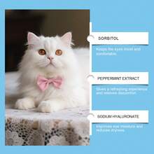 Pet Cat & Dog Tear Stain Remover Pen, Cleaning Solution For Cat & Dog Eye Tear Stains, Universal Pet Care Drops