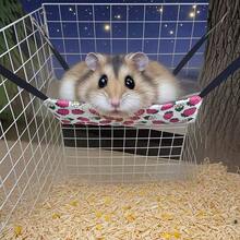 Small Animal Hideaway& Hammock, Cozy House With Roof For Small Pets To Sleep And Hide - Washable Pet Cave& Hideout Corner, Hanging Hammock Hideout Bed, Cage Accessories For Guinea, Hamster, Rat, Glider, Squirrel, Ferret, Kitten, Squirrel, Chinchilla