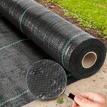 1 Roll Heavy Duty Black Barrier Fabric, 60cm*1000cm - Durable PP Material, Suitable For Lawn Care, Garden Beds And Yard Control - Textured Surface Reinforced Control - Ideal For Flowers, Vegetables And Landscaping Projects, Agricultural Covering, Grid Pattern Fabric, Sturdy Garden Covering