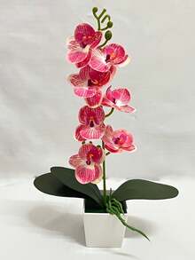 4pcs/1PC Simulation Plant Flowers Fake Hua Hudie Orchid Potted Bonsai, Wedding Shooting Green Props Living Room Decoration Plastic Flower Potted Ornaments, Holiday Decorations, Christmas Decorations.