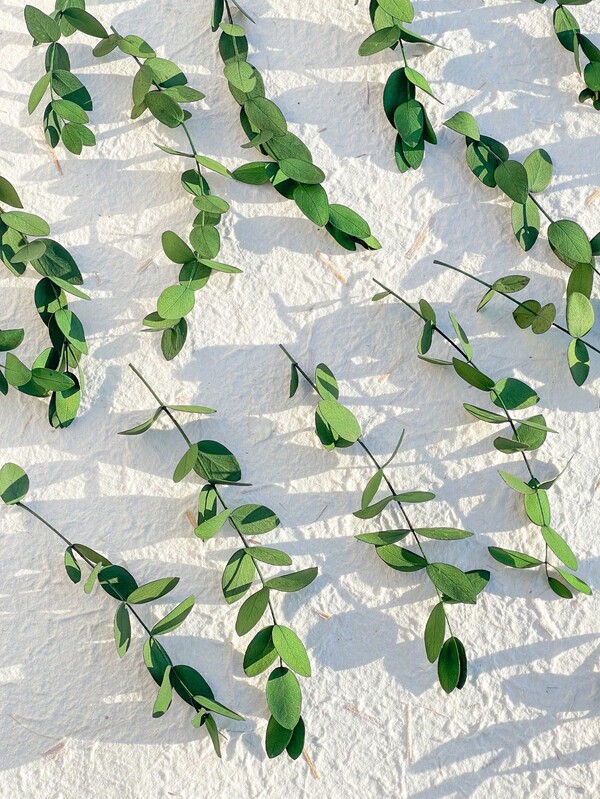 20/50/100 Stücke konservierte Eukalyptus Pampasgras Bündel, geeignet für Hochzeiten, Geburtstage, Abschlüsse, Heimdekoration - natürliche getrocknete Blumen, Rattanmaterial, Fotografie Requisiten - keine Stromversorgung nötig, keine Federn, geeignet für Weihnachten, Halloween, Ostern