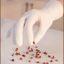 100只一次性丁腈手套，耐用家用清洁手套，防滑防污，防水，不含乳胶，无粉，经久耐用，适用于家庭和厨房清洁、浴室清洁、食品处理、纹身、美容、染发、宠物护理、美容院、清洁用品、家用小工具等。