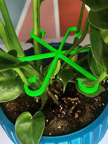 4 件植物支撑夹、植物支撑紧固件、坚固的攀缘植物茎夹 - 塑料材质，或室内攀缘植物、植物支撑 - 彩色 - 查看 3
