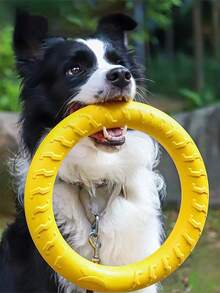 Disco volador con aro grande para mascotas - Juguete interactivo de disco volador para perros que combate el aburrimiento - Juguete masticable duradero con rebote y juguete de tiro para perros pequeños y medianos como Golden Retriever y Border Collie