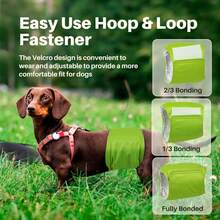 1 件装可洗公狗腹带 + 公狗尿布，优质公狗尿布和狗包巾 - 灰色 - 查看 3