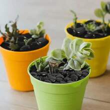 Weiße dekorative Steine, matte Kiesel, Felsen für Pflanzen im Innenbereich, natürliche weiße Flusssteine, Vasen-Füllsteine, Kies, kleine Felsen, Aquarium-Kies, Sukkulenten-Felsen (0,5-0,9 cm). Die Steine haben eine asymmetrische Form.