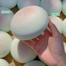 1pc Super Soft & Sticky Taro Scented Stress Relief Squeeze Toy - Perfect Gift For Birthday, Holiday, Christmas - Multicolor - View 4