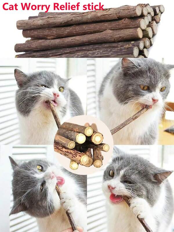 20 Stücke Katzen Kau-Spielzeug Set: Silberranken Stöcke, vertreiben Langeweile und reinigen Zähne! Katzen Zähne Schleifen und Reinigungs Stöcke, Katze, Fisch, Katzen Spielzeug, Zähne Schleifen und Reinigungs Katzen Stöcke, Silberranke