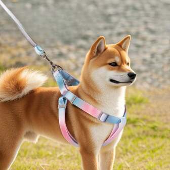 渐变色牵引绳，牵引带和肩带套装，遛狗用宠物胸肩带，防逃脱牵引绳，安全插座，使用方便，优质材质，透气舒适，不压迫胸腔，科学设计，防止逃脱，可调节扣环满足不同体型宠物使用，适合各种宠物外出使用