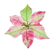 Christmas Poinsettia Flowers Rustic Poinsettias Decorative Artificial Flowers For Home Decorations - 粉色 - 查看 6