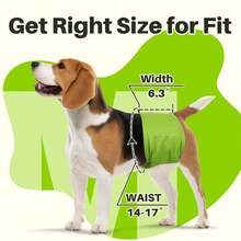 1 件装可洗公狗腹带 + 公狗尿布，优质公狗尿布和狗包巾 - 灰色 - 查看 4